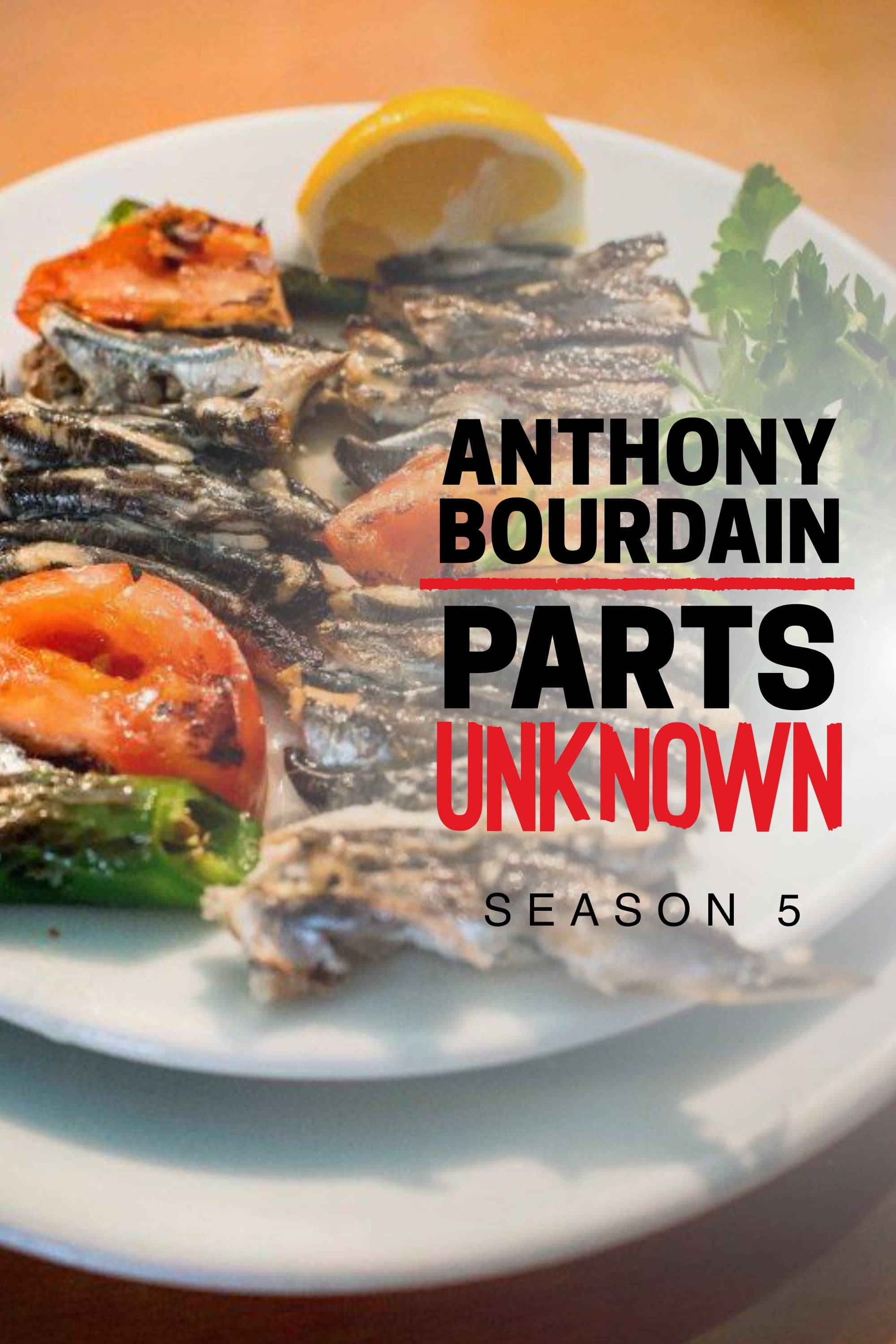 Anthony Bourdain Parts Unknown - Season 5 [36450] (A1702185508) [[Shows]] --Plex--